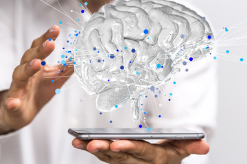 口袋侦探的游戏攻略