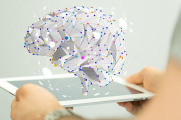 口袋侦探的游戏攻略