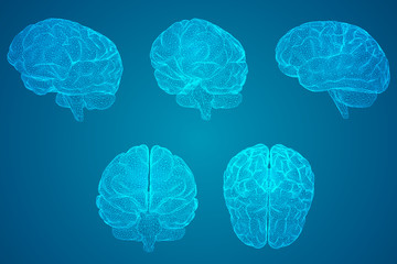 口袋侦探的游戏攻略