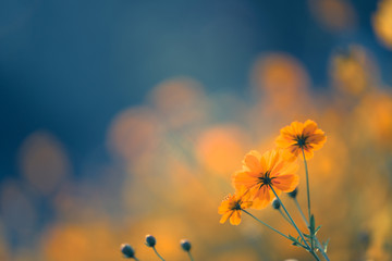 我的青春高八度吻戏在第几集