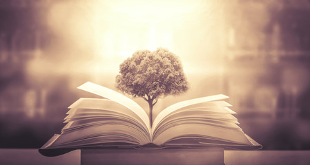 24年高速公路免费安排表