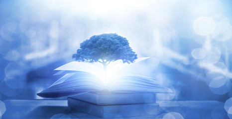 我的青春高八度吻戏在第几集