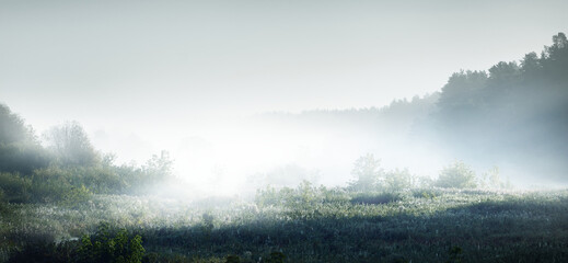 梦见一个妈妈领着她女儿的预兆