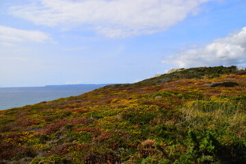 DNF突破绝望之塔任务怎么做 突破绝望之塔