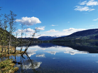 汇金国际怎么样？
