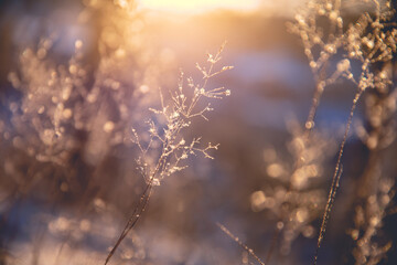 中国最牛的军长