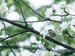 DNF突破绝望之塔任务怎么做 突破绝望之塔