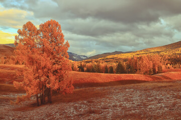 广州网上订汽车票怎么订