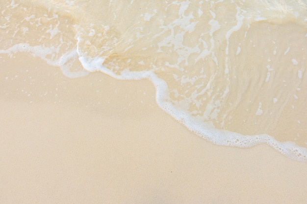 24年高速公路免费安排表