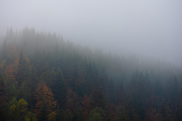 潍坊市公安局的主要领导