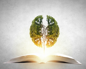 梦见一个妈妈领着她女儿的预兆