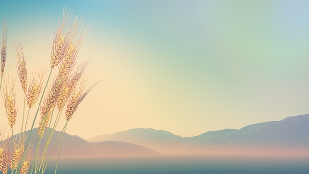 广州网上订汽车票怎么订