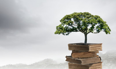 口袋侦探的游戏攻略