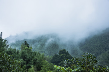 潍坊市公安局的主要领导